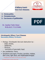 3rd Stage The Gall Bladder and Biliary Tract - HMU