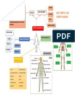 Mapa Mental