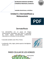 3.1 Dermatofitosis y Malasseziosis PDF
