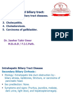 Gall Bladder and Biliary Tract