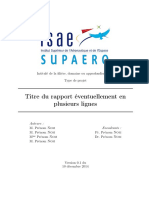 isae-report-template.pdf