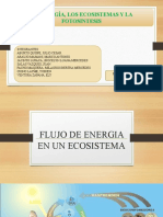 ECOLOGIA TRABAJO TERMINADO.pptx