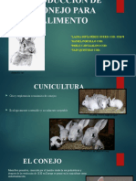 CUNICULTURA 