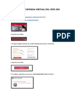 Acceso Plataforma Virtual PDF