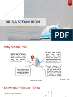 Brina Steam Iron PDF