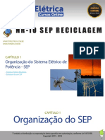 Organizacao_do_Sistema_Eletrico_de_Poten.pdf