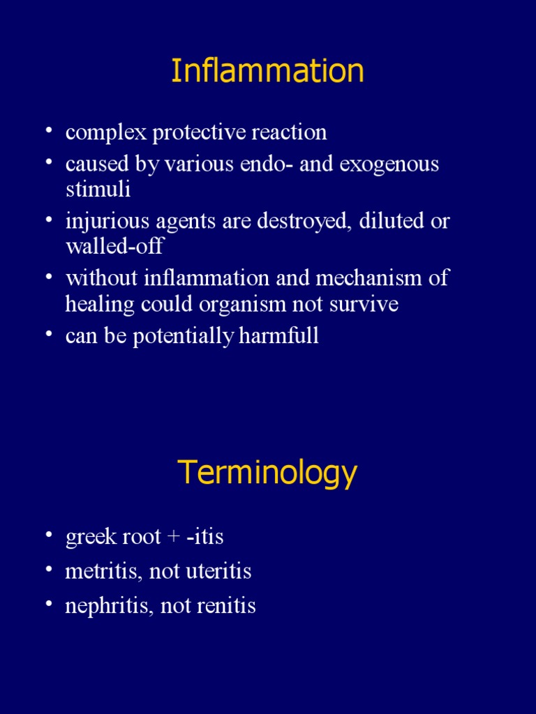 19inflammation PDF | PDF | Inflammation | White Blood Cell