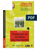 Produccion de hortalizas bajo invernadero.pdf