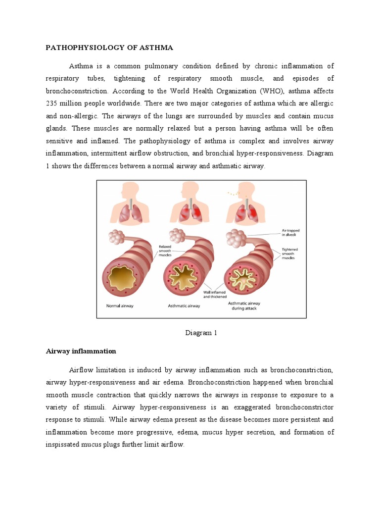 Pathophysiology Of Asthma