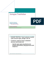 Materi Pengayaan Jaringan Tumbuhan