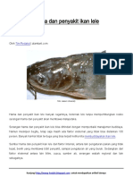 Hama Dan Penyakit Ikan Lele PDF