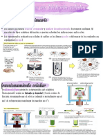 (ppt3) Metodos en Biologia Celular PDF