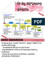 (PPT 2) Exprecion Genica PDF