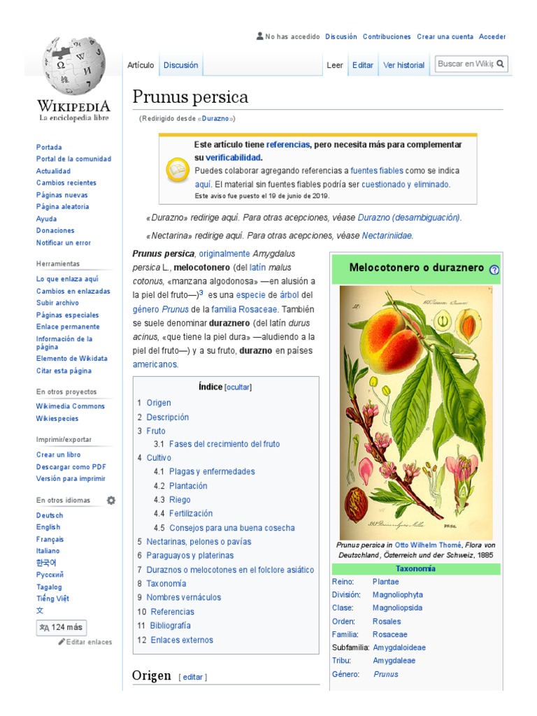 DURAZNO | PDF | melocotón | Frutas comestibles, image size:768x1024