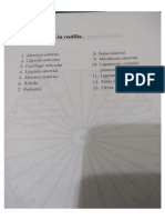 plantillas radiestesia.pdf