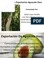 AGUACATE.pptx