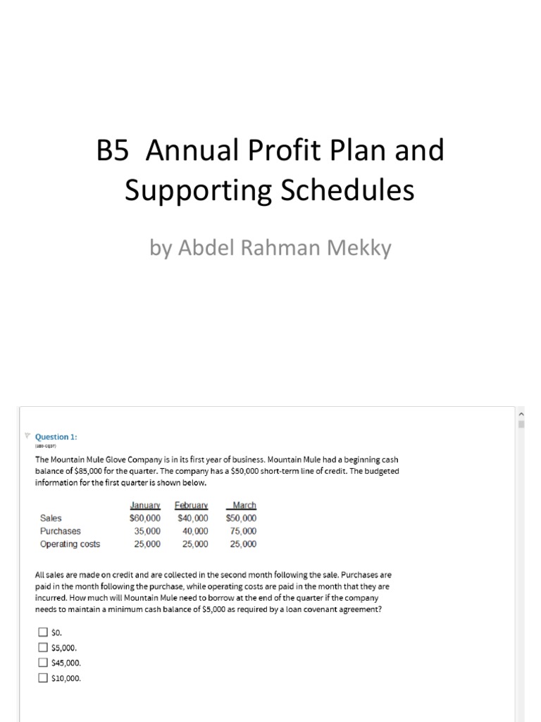 B5 Annual Profit Plan and Supporting Schedules PDF | PDF | Finance ...