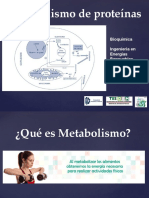 Metabolismo de Proteínas