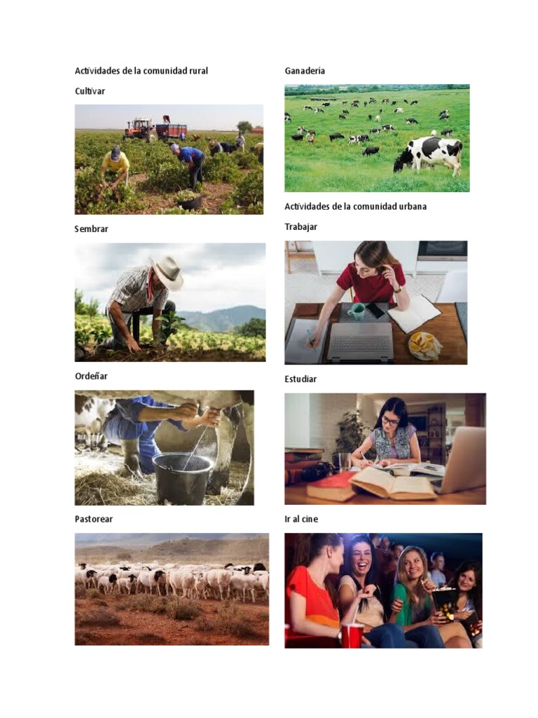 Actividades en la Comunidad Rural | PDF