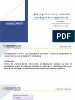 Presentación plan de prevencion enfermedades laborales (1).pptx