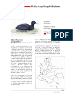 Libro Rojo - Aves - Fichas2 PDF