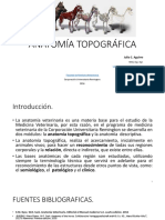 ANATOMÍA TOPOGRÁFICA clase III - IV.pdf