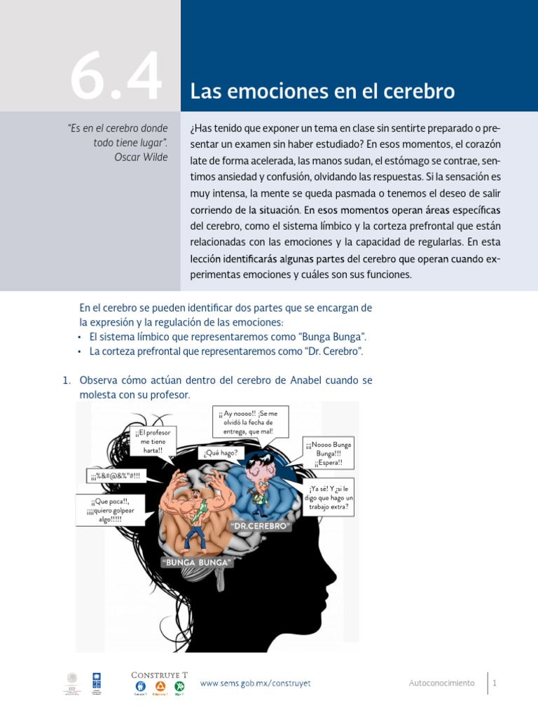 Emociones y su regulación en el cerebro | PDF | Sistema límbico | Las ...