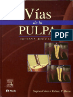 Vias de La Pulpa - Stephen Cohen PDF