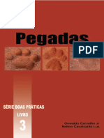 Pegadas .pdf