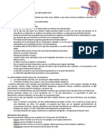 Clase 1 PDF