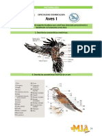 Aves 1.pdf