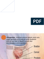 Kelenjar Prostat Ririd