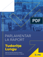 Deputat Tudorița Lungu - Raport 2020