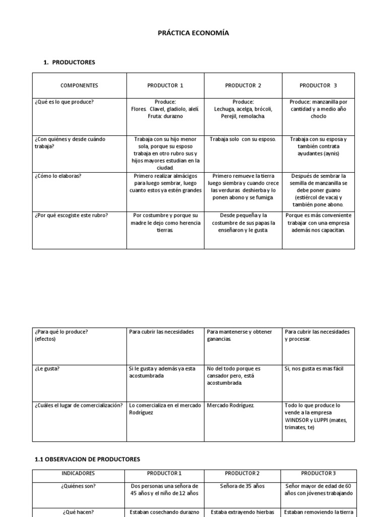 Práctica Economia OFICIAL | PDF | Panes | Carne