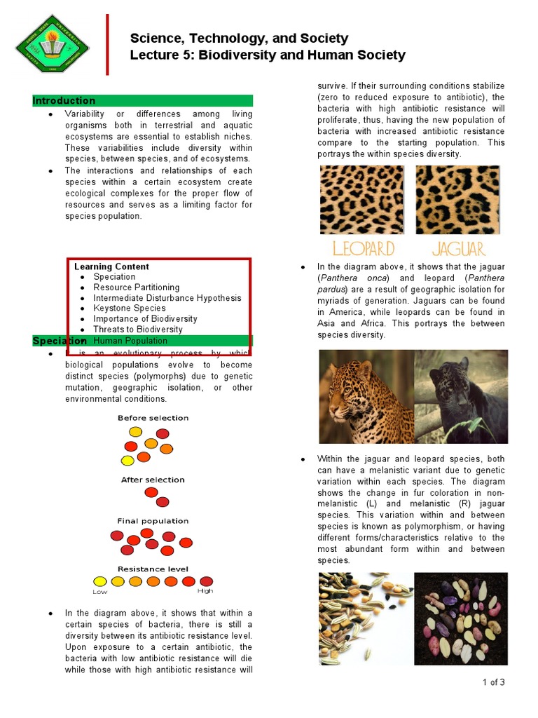 Biodiversity's Role in Ecosystems | PDF | Ecological Niche | Biodiversity