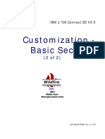 zCEE Customization Basic Security.pdf