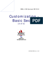 zCEE Customization Basic Security PDF