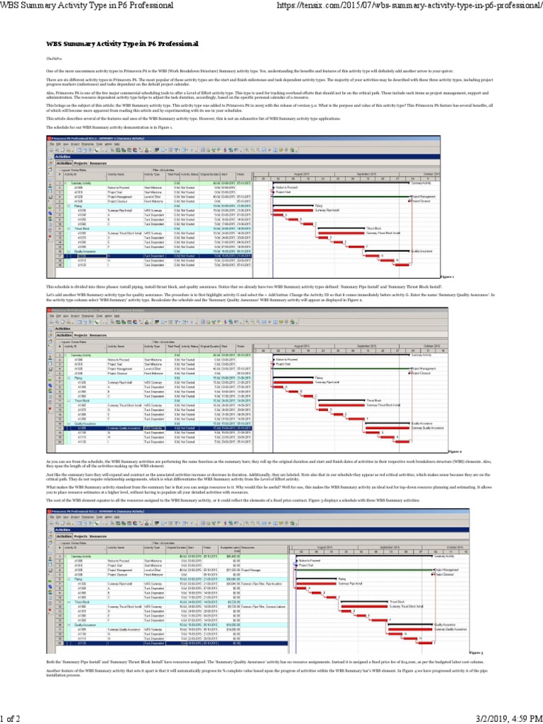WBS Summary Activity Type in P6 Professional | PDF | Business