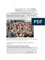 ¿Cómo Promueve y Protege La ONU Los Derechos Humanos?