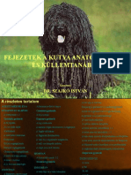 A Kutya Anatómiája PDF