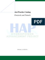 Best Practice Catalog: Penstocks and Tunnels