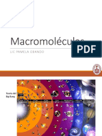 Clase 3 - Estructura de Macromoleculas