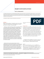 ESP-ACG Clinical Guideline-Primary Sclerosing Cholangitis - En.es