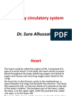 Anatomy Circulatory System: Dr. Sura Alhussainy