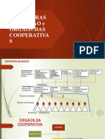 estruturas estaduais e cooperativas completa