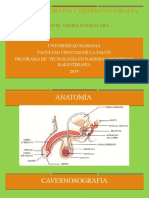 CAVERNOSOGRAFIA