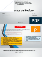 Fosforo