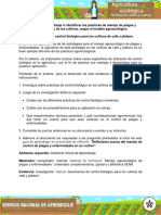 Evidencia Investigacion Aplicar Mecanismos Control Biologico Cultivos Cafe Platano