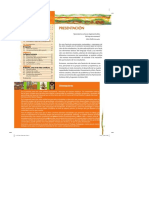 Informe de Artes Visuales PDF