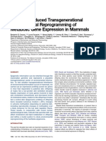 Paternally Induced Transgenerational Environmental Reprogramming of Metabolic Gene Expression in Mammals